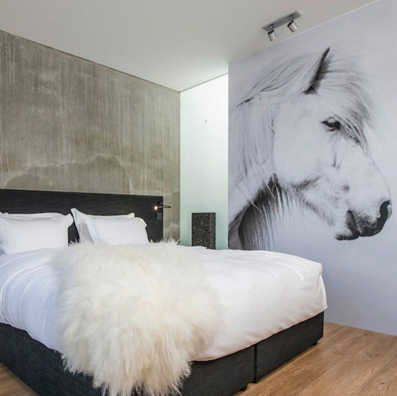 ion adventure hotel islande