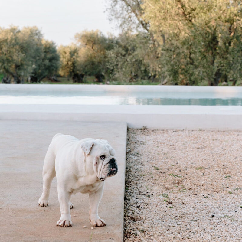 Masseria Moroseta