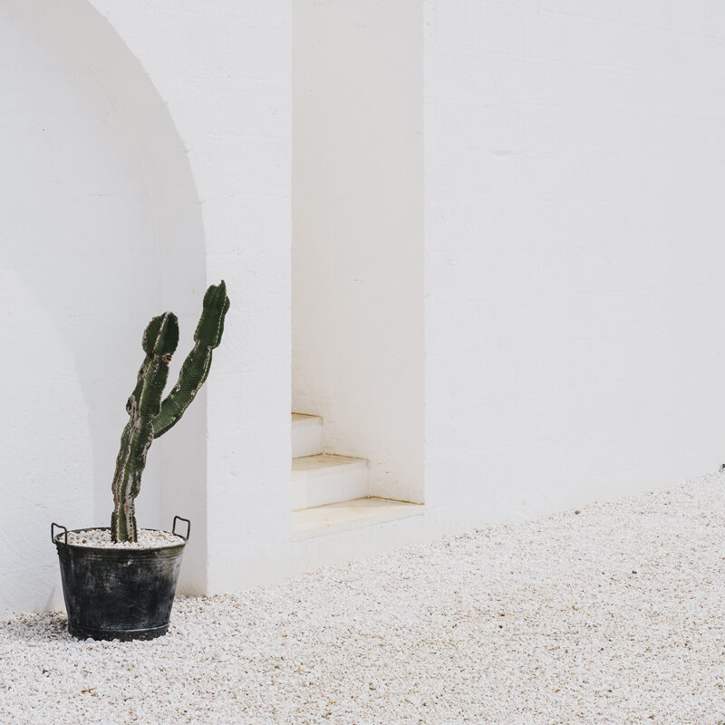 Masseria Moroseta