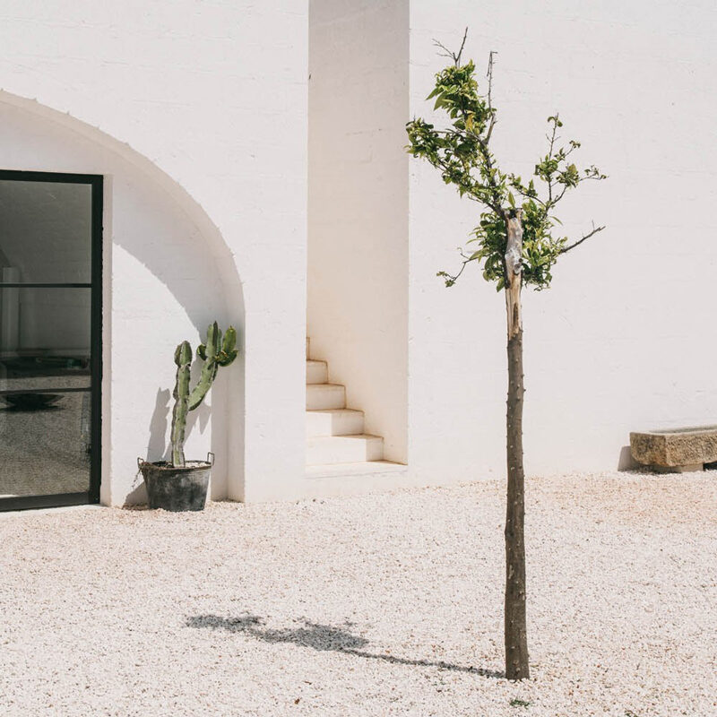 Masseria Moroseta