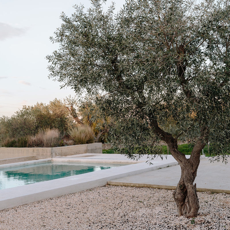 Masseria Moroseta
