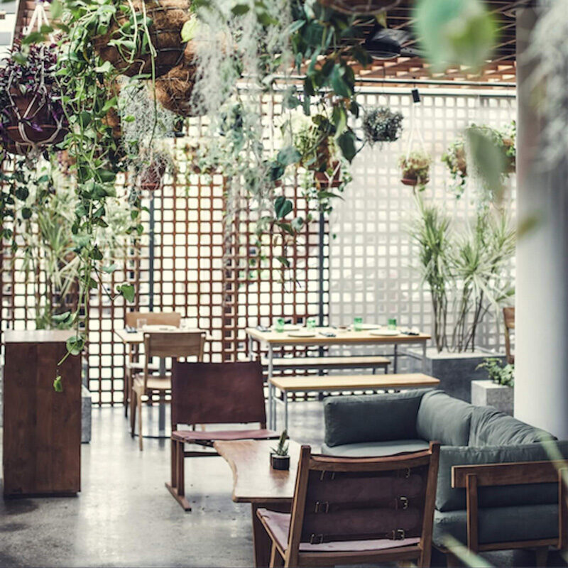 the slow hotel canggu bali indonesie