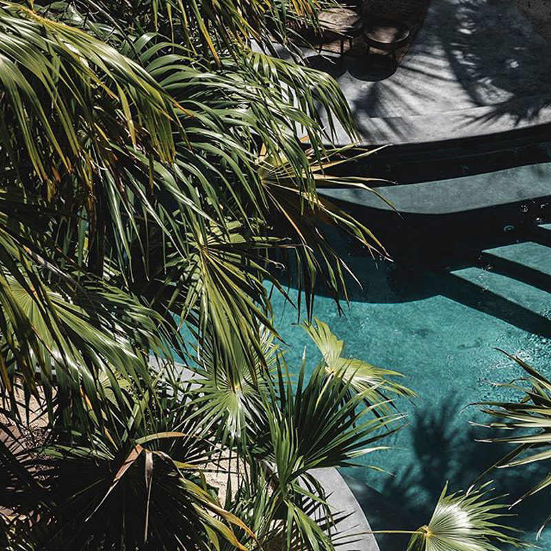 tulum treehouse hotel mexique