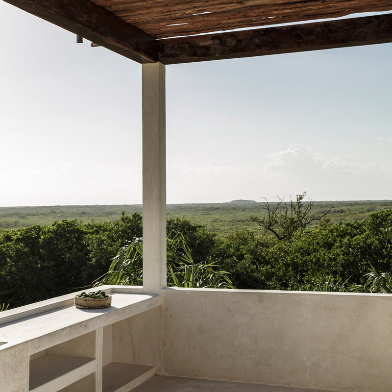 tulum treehouse hotel mexique