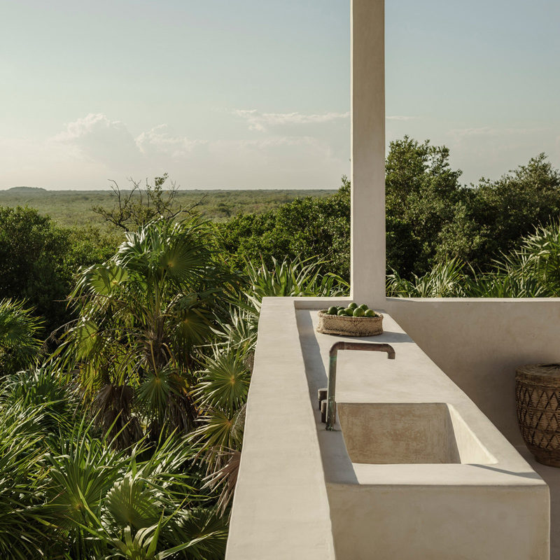 tulum treehouse hotel mexique