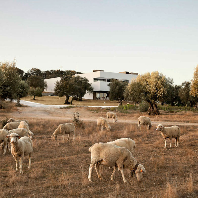 villa extramuros portugal