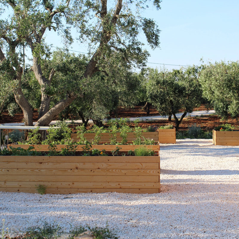 ikus the apulian bed breakfast ceglie messapica pouilles italie