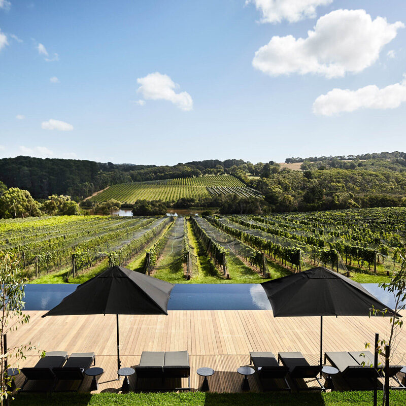 jackalope hotel carr design mornington peninsula australie