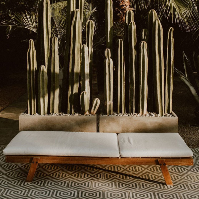 acre baja los cabos mexique