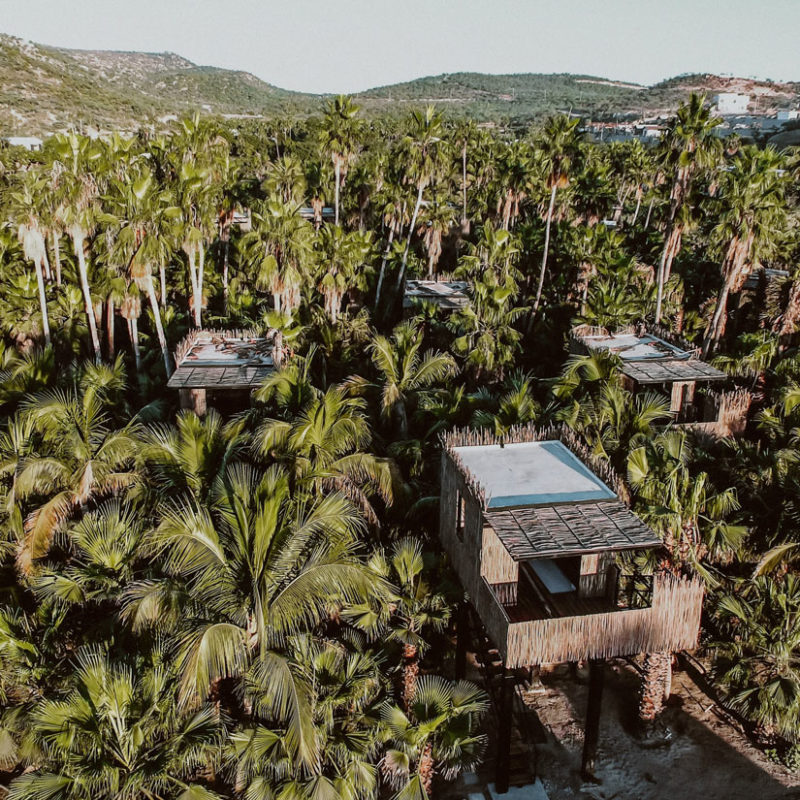 acre baja los cabos mexique