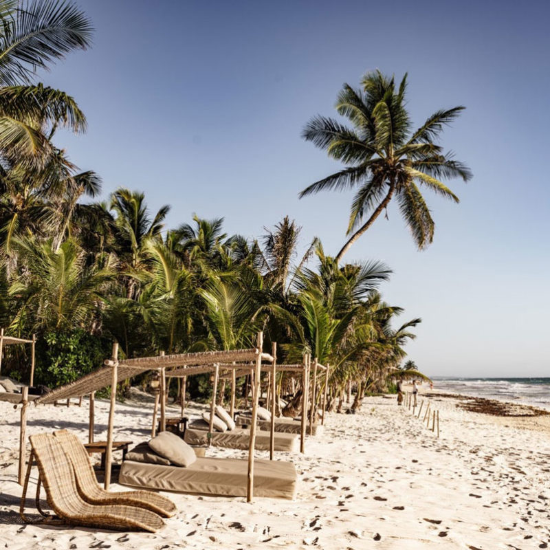 betulum tulum hotel mexique