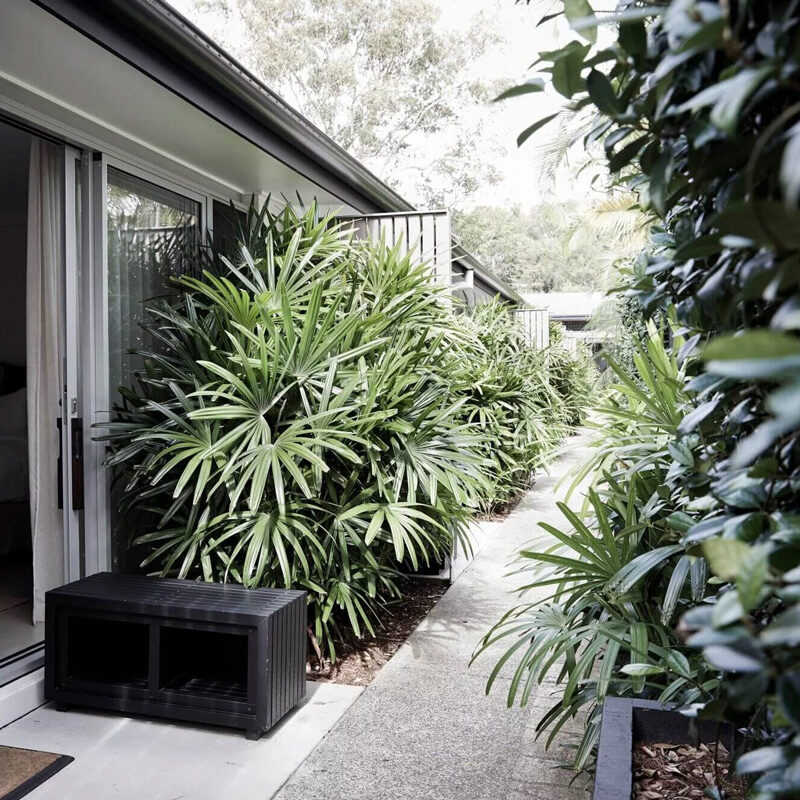 the bower bayron bay hotel australia