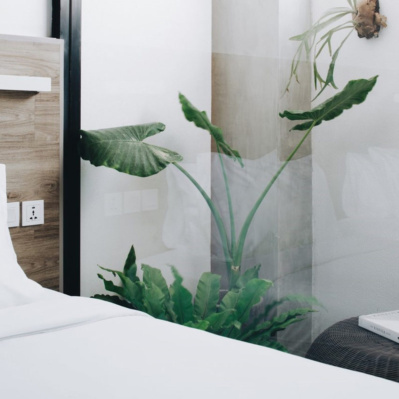 lloyds inn hotel bali