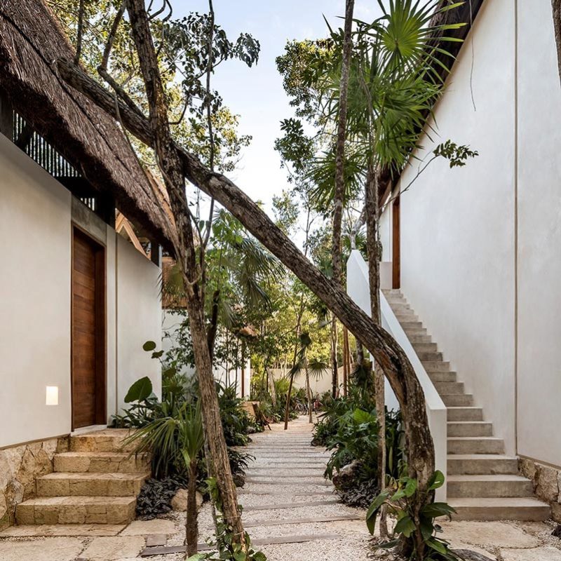 jungle keva tulum hotel mexique