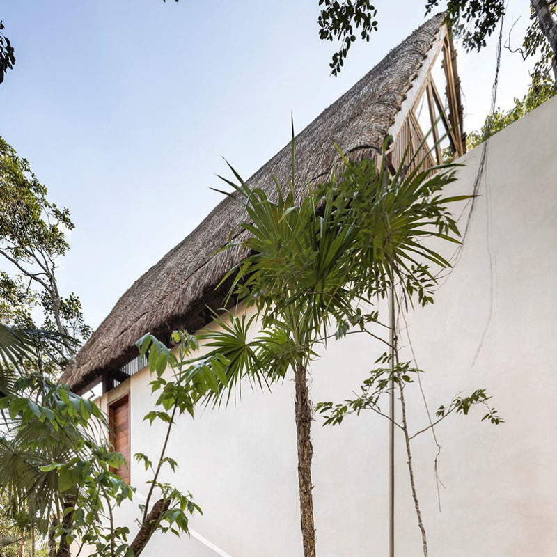 jungle keva tulum hotel mexique