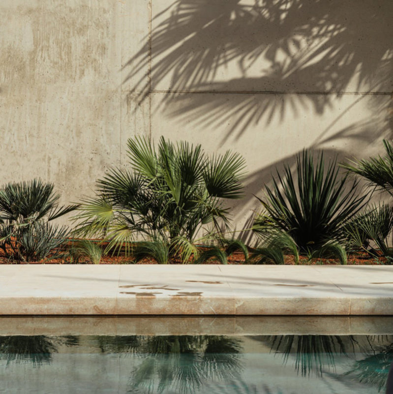 casa cook ibiza hotel Oku ibiza