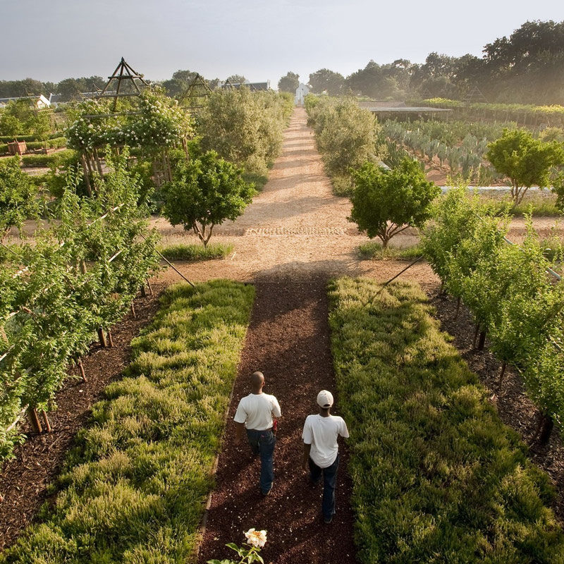 babylonstoren hotel afrique du sud