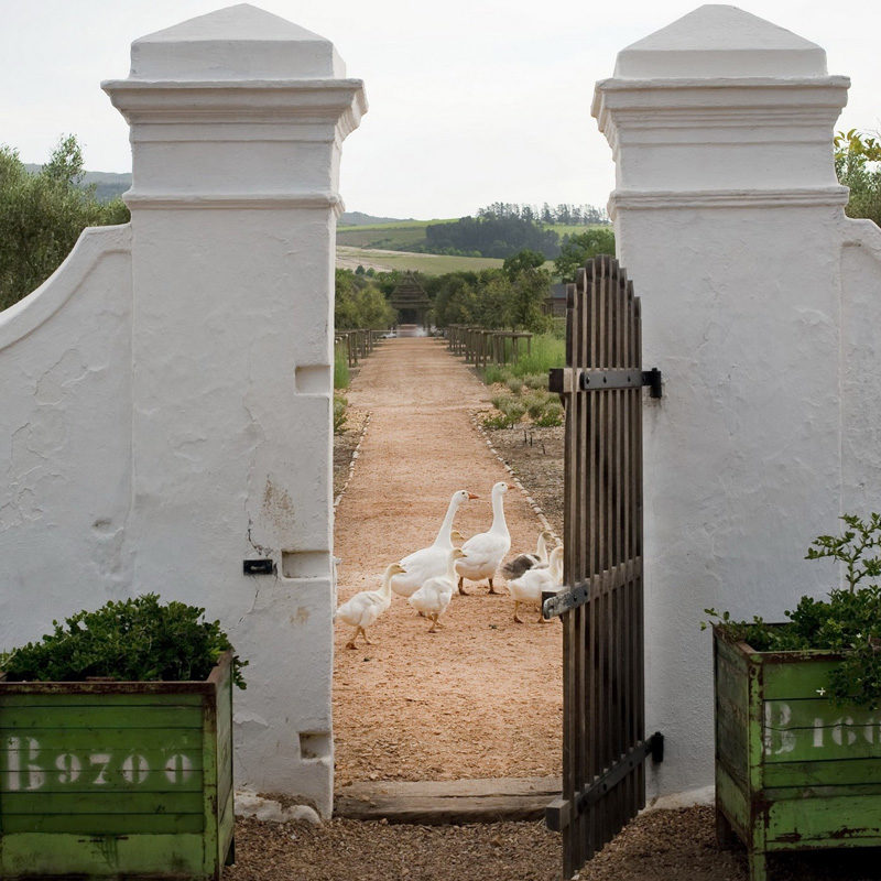 babylonstoren hotel afrique du sud