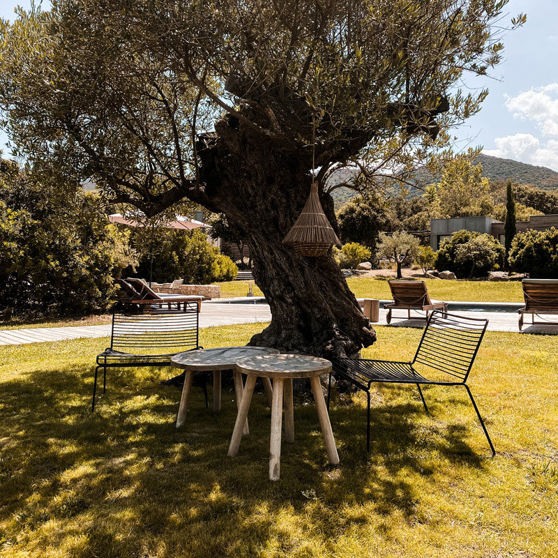 casa legna ecolodge pigna balagne haute corse france