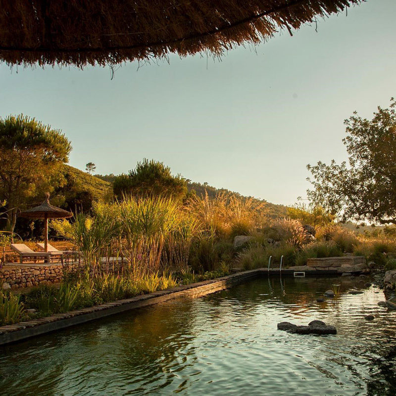 finca can marti agroturismo ibiza espagne