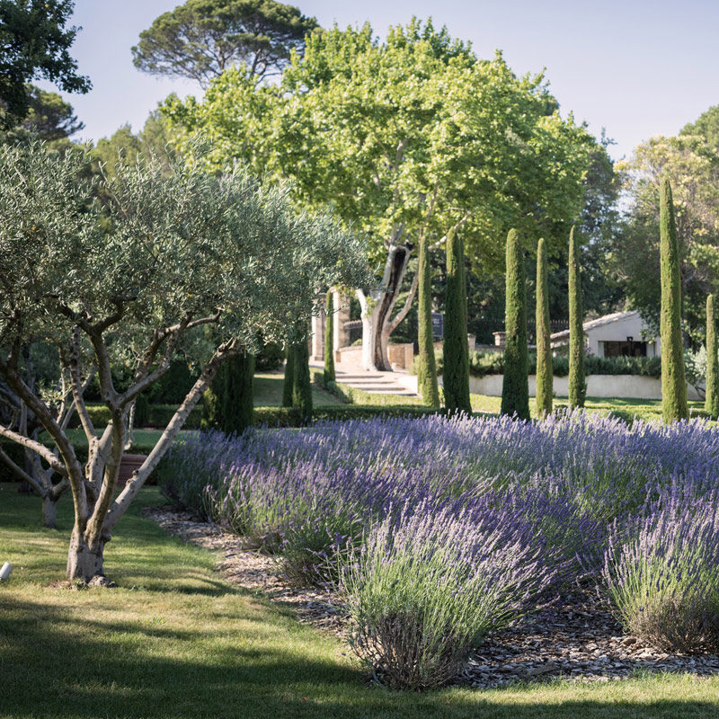 Domaine de Fontenille
