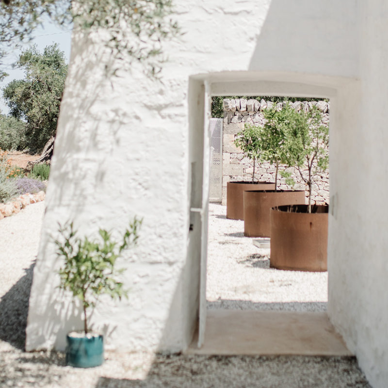 masseria dagilupi guesthouse ostuni italie pouilles