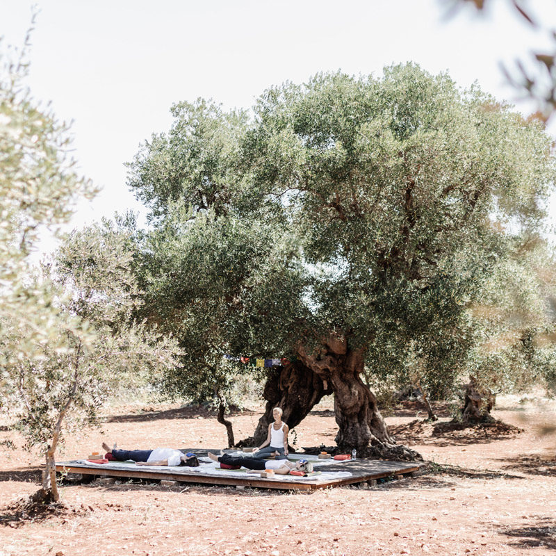 masseria dagilupi guesthouse ostuni italie pouilles