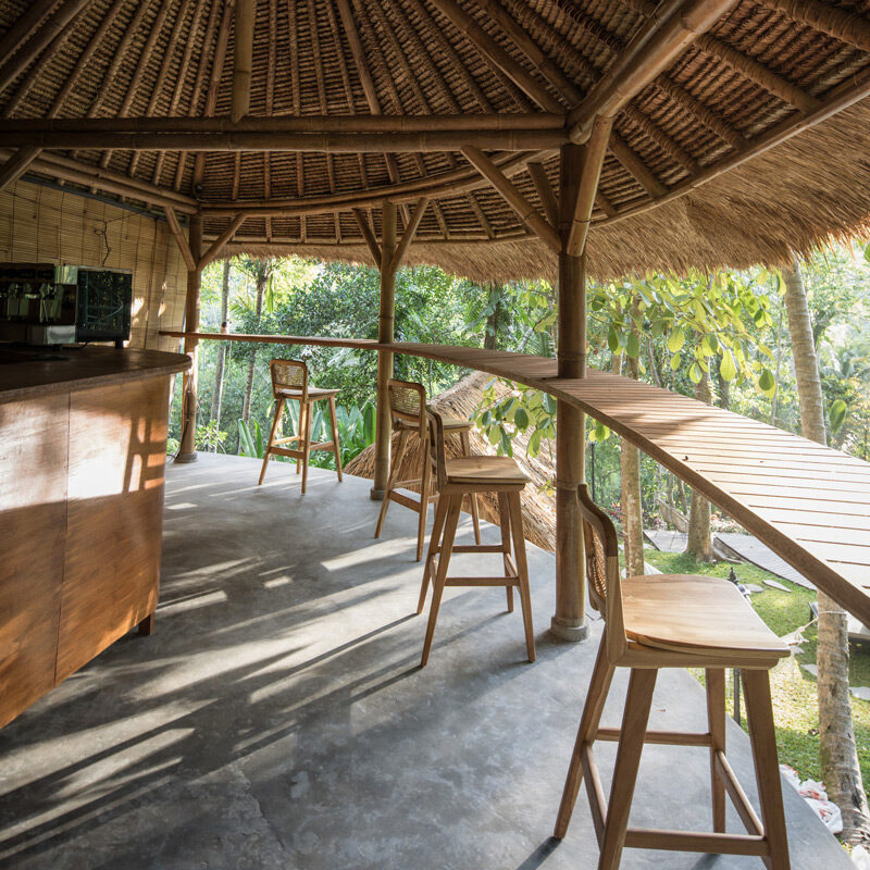 Lift treetop hotel ubud bali alexis dornier
