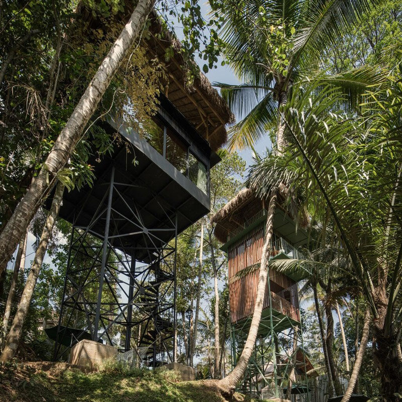 Lift treetop hotel ubud bali alexis dornier