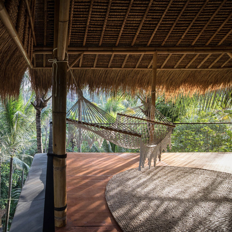 Lift treetop hotel ubud bali alexis dornier