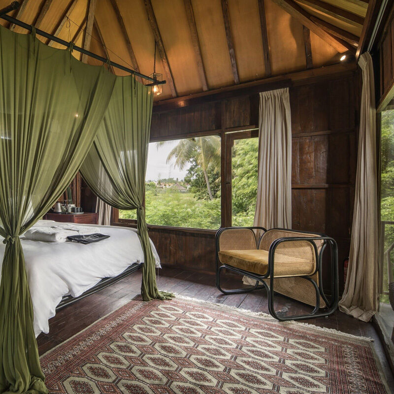 Lift treetop hotel ubud bali alexis dornier