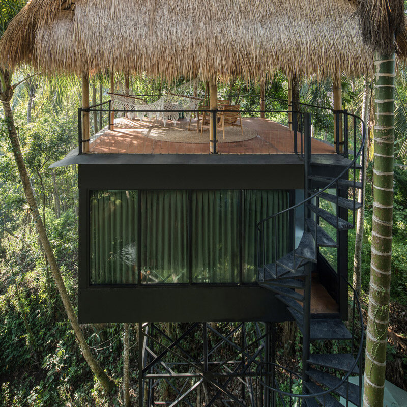 Lift treetop hotel ubud bali alexis dornier