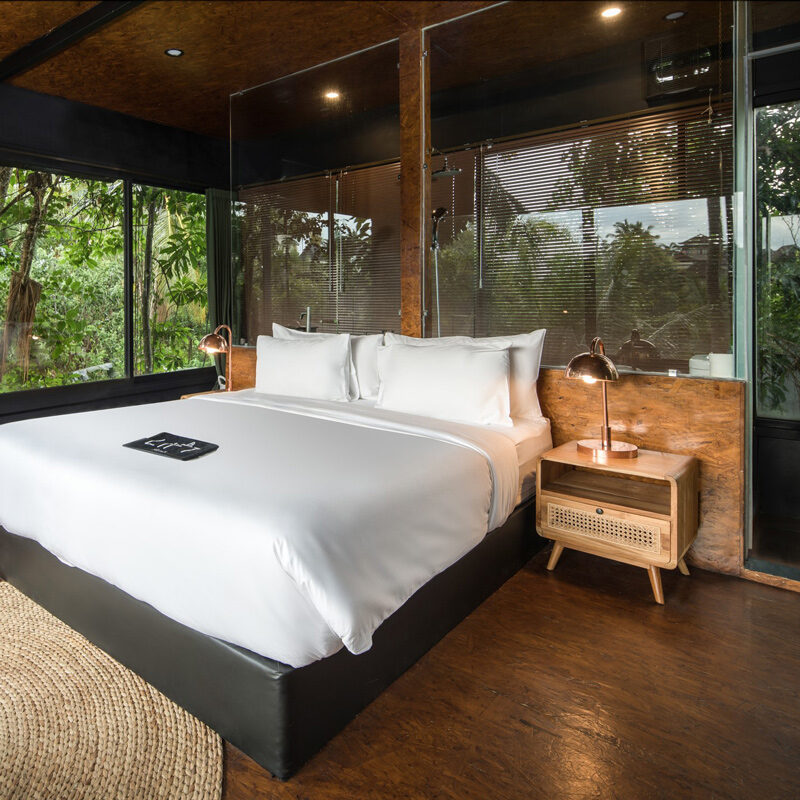 Lift treetop hotel ubud bali alexis dornier