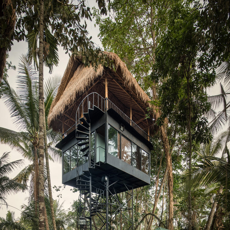 Lift treetop hotel ubud bali alexis dornier