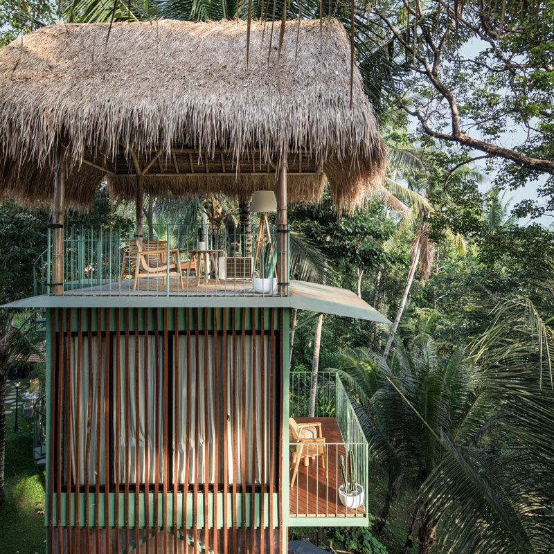 Lift treetop hotel ubud bali alexis dornier