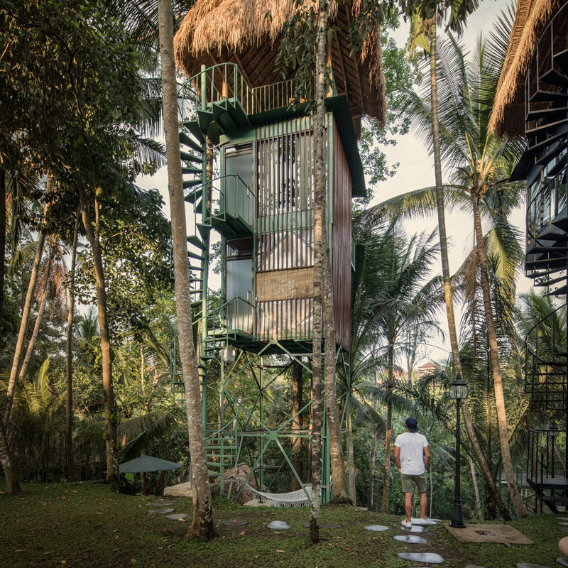 Lift treetop hotel ubud bali alexis dornier