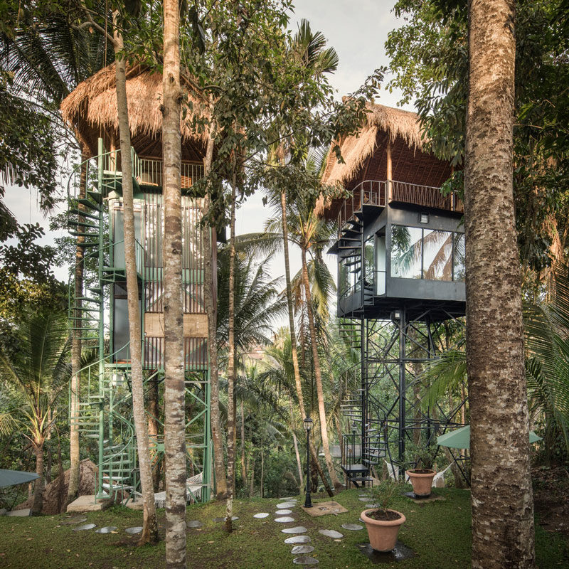 Lift treetop hotel ubud bali alexis dornier