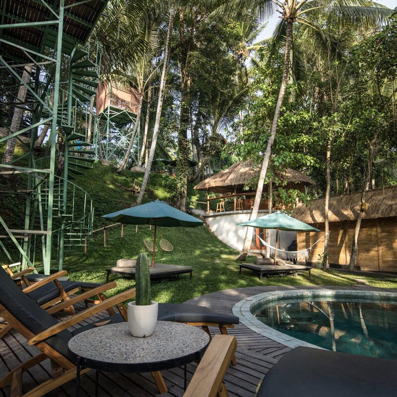 Lift treetop hotel ubud bali alexis dornier