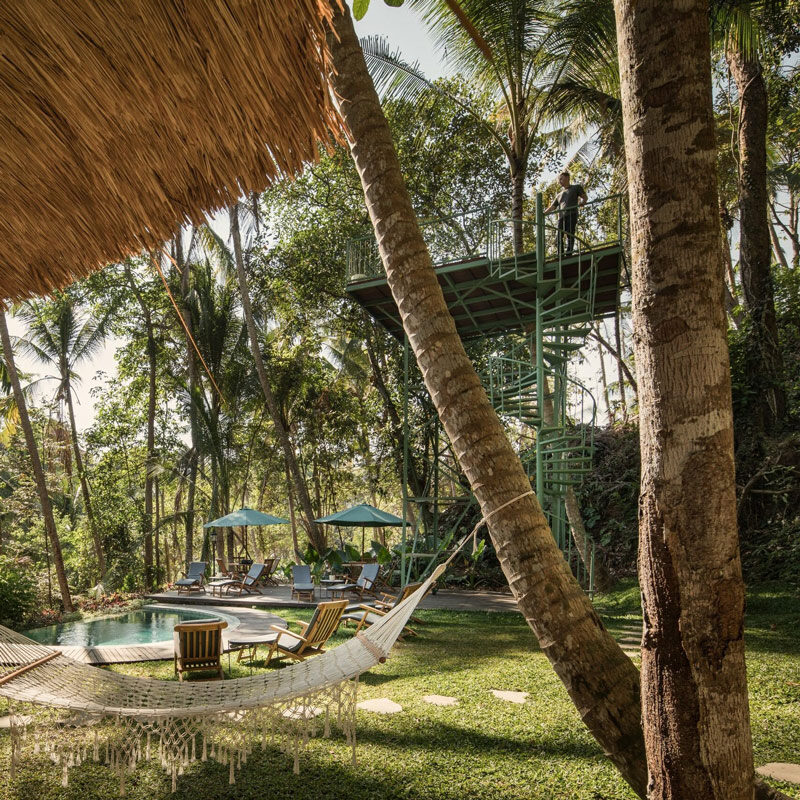 Lift treetop hotel ubud bali alexis dornier