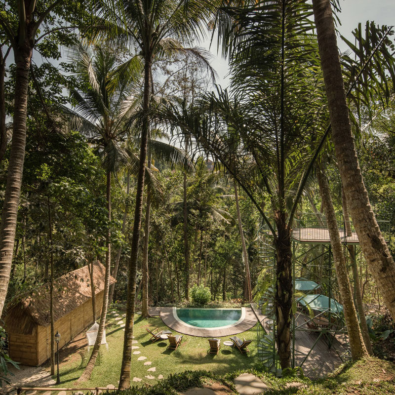 Lift treetop hotel ubud bali alexis dornier