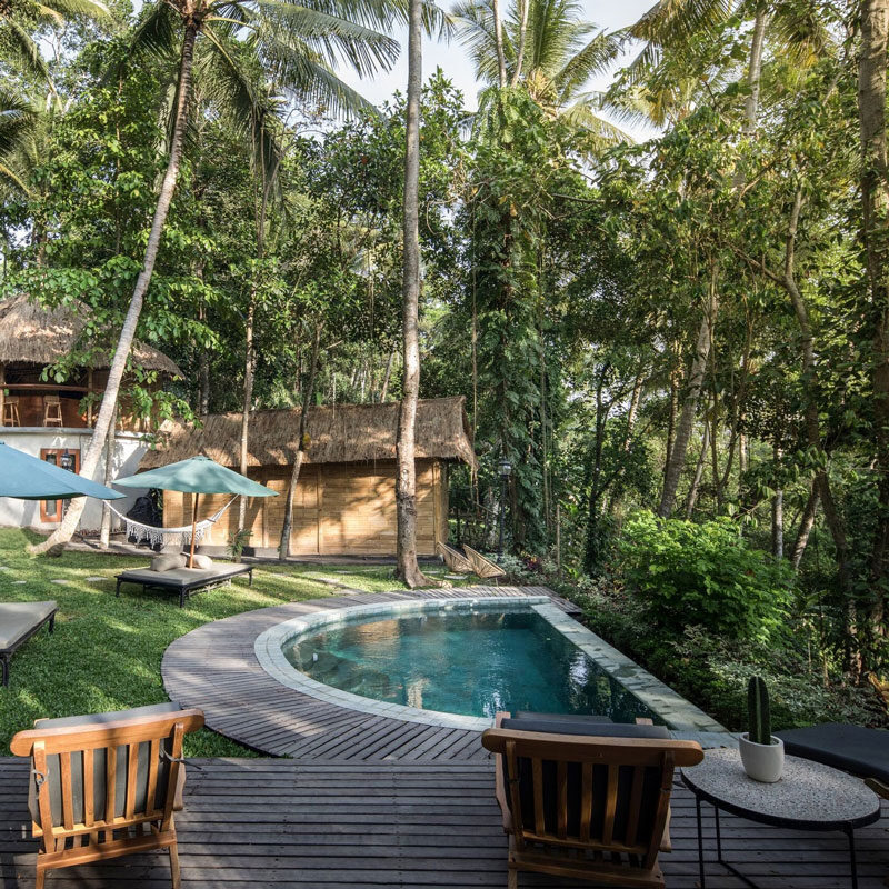 Lift treetop hotel ubud bali alexis dornier