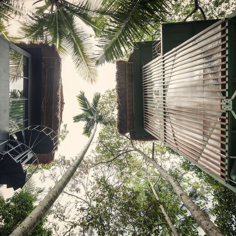 Lift treetop hotel ubud bali alexis dornier