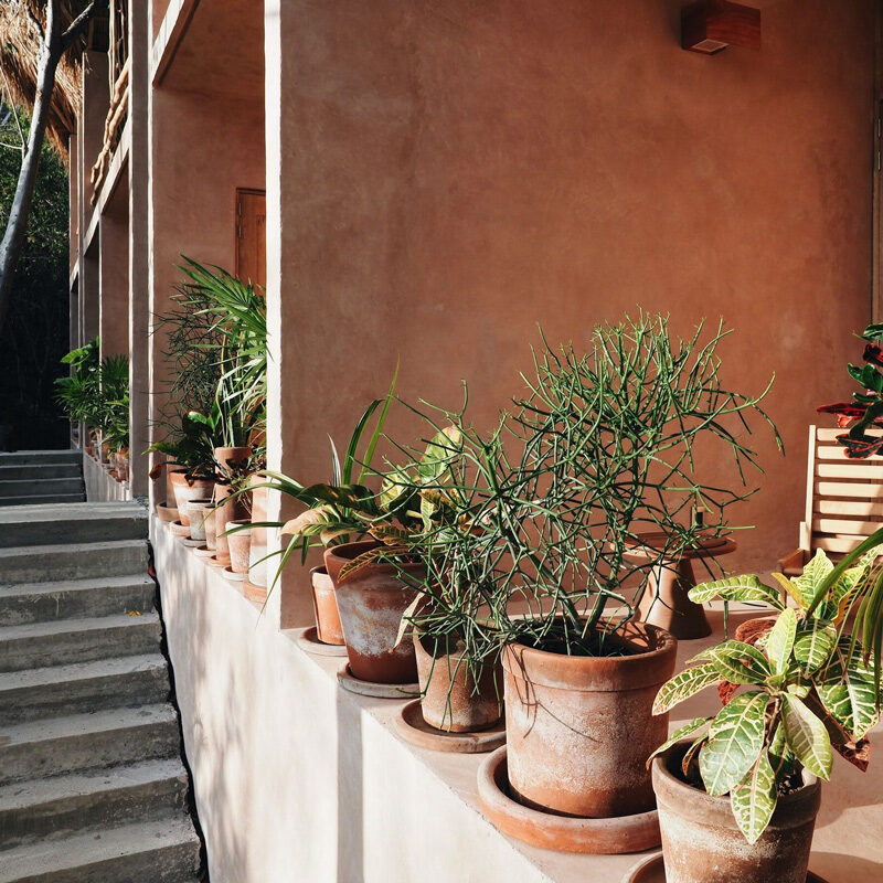 monte uzulu hotel oaxaca mexico