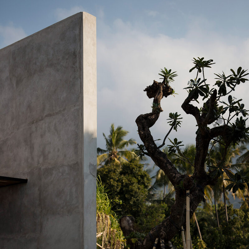 the tiing hotel bali nic brunsdon