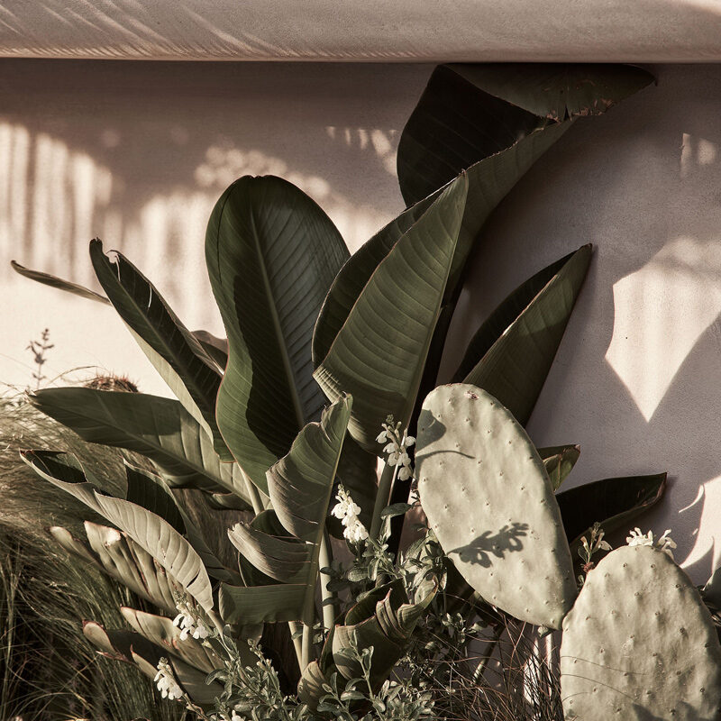 habitat mykonos all suite hotel agios stefanos greece