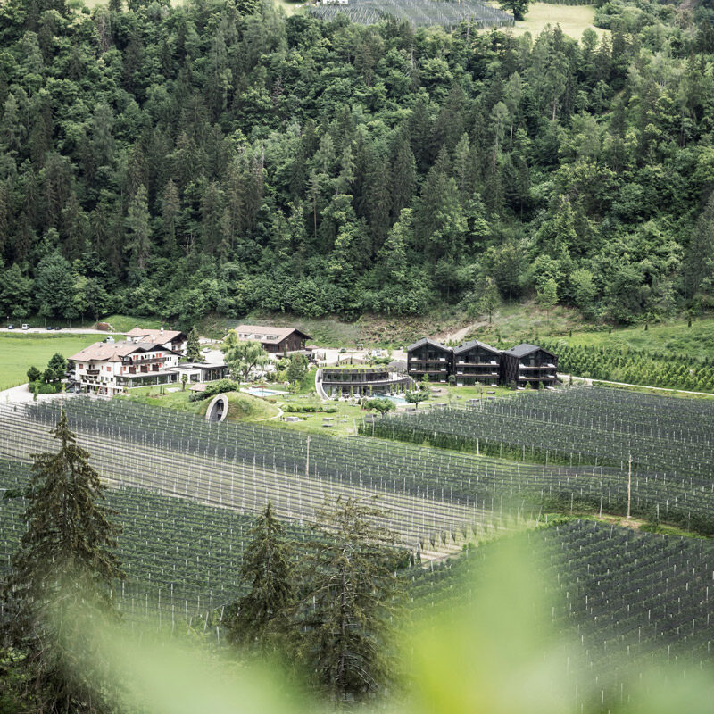 apfelhotel torgglerhof hotel saltusio sud tyrol italy