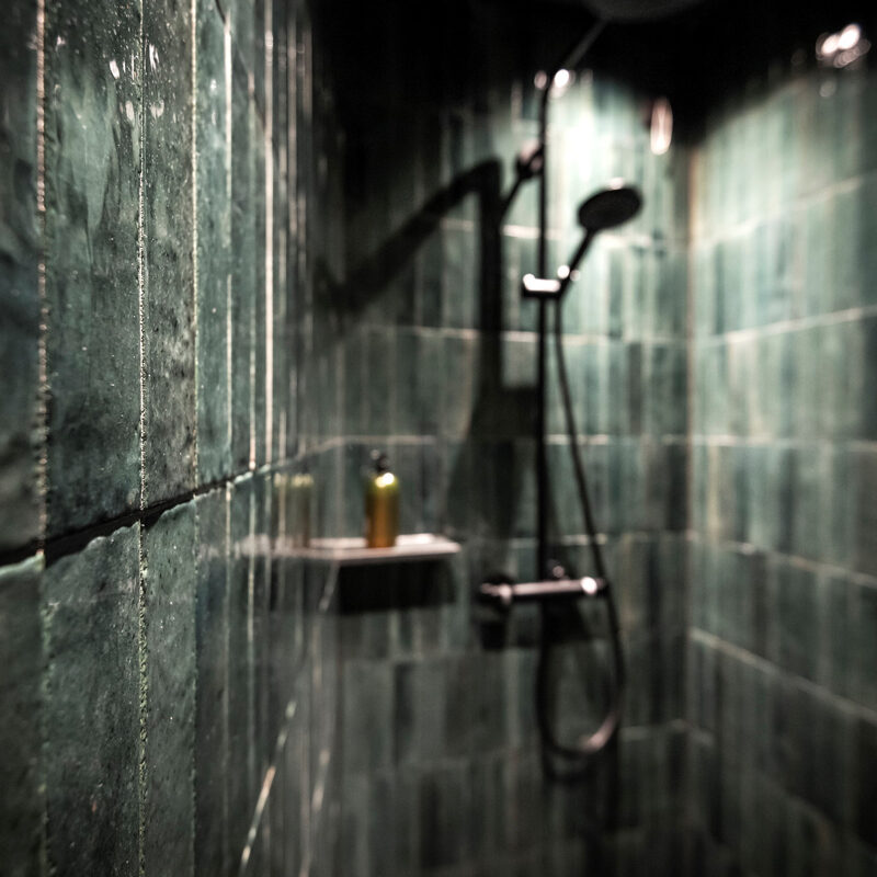 floris green suites by parc hotel florian siusi south tyrol iItaly noa