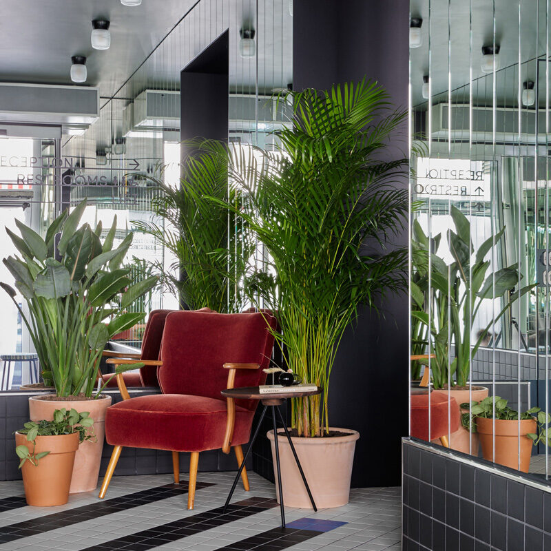 schwan locke hotel munich germany fettle