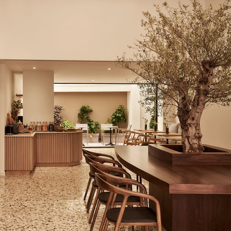 vasi hotel athens greece