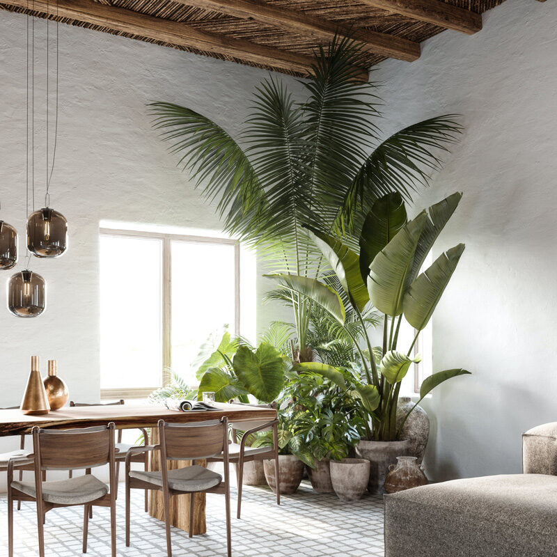 charisma hotel and wellness suites mykonos greece